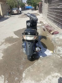 سكنس فحل للبيع بوشة 58سعر550 07713766824