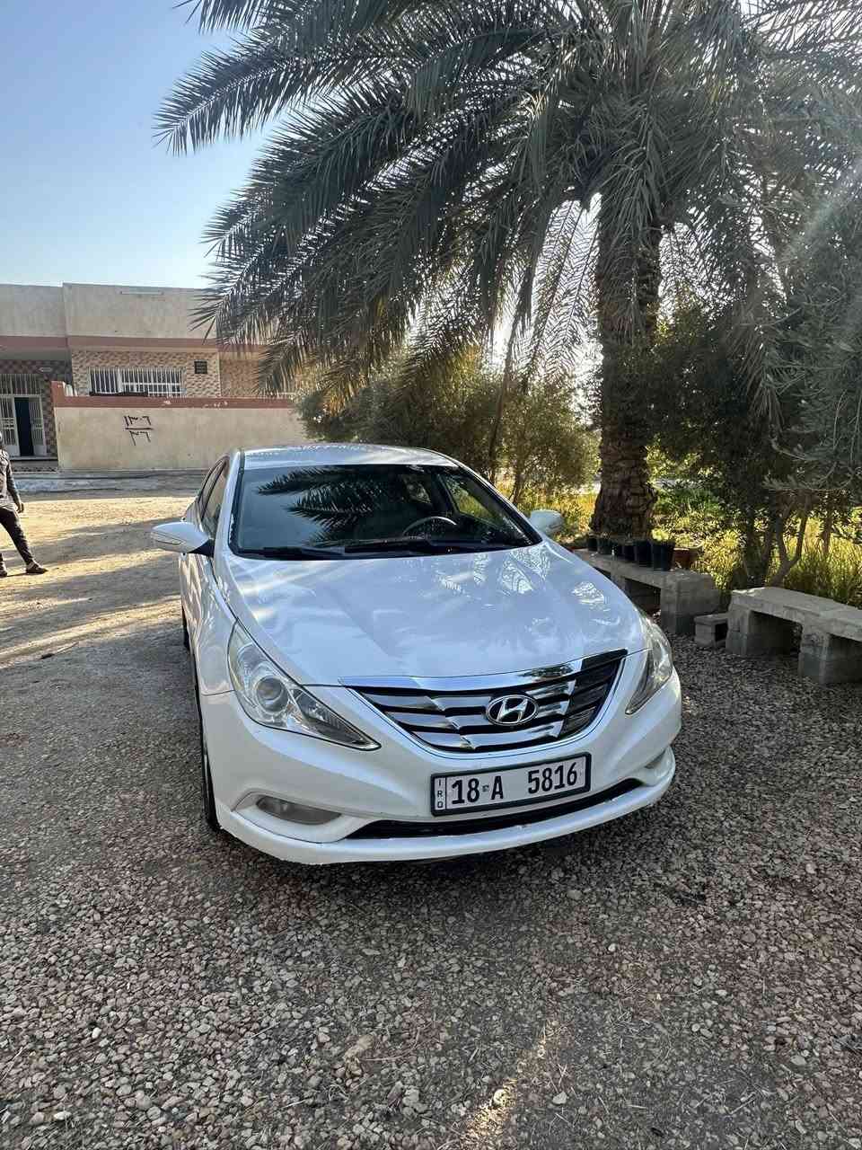 سوناته للبيع موديل ١١ كفاله عامه خليجيه دووشش سونار موجود مداور ثاني يوم باسمي ماشيه 200 الف ديوانيه *********** سعر 128
