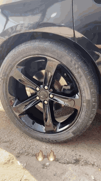 عرض على صبغ الويالة   75   ألف فقط التخم
متوفر جميع الألوان 🎨
صبغ بفرن حراري 🌡️
ضمان بالعمل 💯
نقاوة صبغ عالية 🔥
العنوان : بغداد ~ الأسكان ~ شارع مستشفى الطفل ~ مقابل ثانوية بابل ***********
