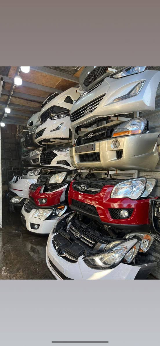 سلام عليكم ورحمه الله وبركاته اللهم صل على محمد وال محمد ادوات سبورتاج وتوكسان كل الاوان متوفره  توكسان الابيض ولسلفر كل الاوان متوفره فقط محلات سجاد العراقي العنوان طالبيه قرب مستشفى مارينا الاهلي رقم الهاتف﴿***********﴾
