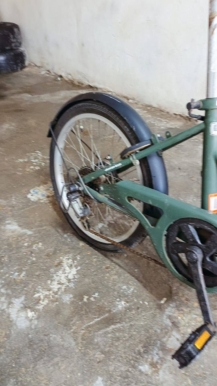 سلام وعليكم البيع باسكلات مال حاويه جدد السعر خاص مكان نجف رقم الهاتف الاستفسار ***********وتساب بي
