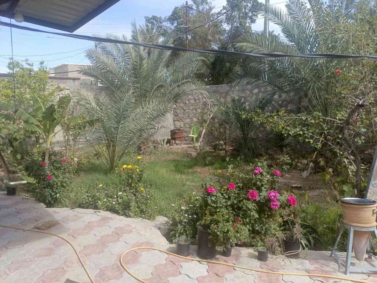 يالله عرصه المساحه 100متر

طابوزراعي سند 25قرار محكمه.

مربعه 10ب 10

العنوان كوفه حي ميسان قرب مجمع جوهرت العرب

شارع سواق مجيد  تبعد عن شارع 40 متر عن شارع العام 

الستفسار تصل ع رقم ***********وتساب. يوجد كافت

 المساحت الزرعيه
