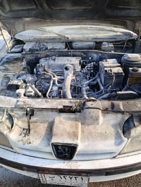 بيجو بارس • محترقة • خصوصي