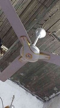 مستعجل • كربلاء طويريج • سنغافورة