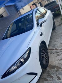 سيل 5 • ٢٠٢٥ • ٨٠٠ كم