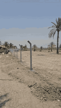 تريد أرض زراعيه وبسعر مناسب تعال يمي اليوم 🌴🌴

 جبنالكم عرض مميز  وبسعر مناسب جدا واحلئ💐
مايكون بهذا العرض هوه المنطقة والجيران الطيبة والهدوء 🍀🍀🍀🍀🍀🍀🍀🍀

 #للبيع ٢ دونم ونصف بمعنى ٦٢٥٠متر 🌴🌴🌴
طابو سند ٢٥ 🌏🌏🌏🌏
مثبتة حددوها ومسيجة بالكامل 🏛
واجه ٧٢ متر 🌏
نزال ٨٧ متر 🌏

   تتوفر كافة الخدمات وتبعد عن شارع البوعلوان الرئيسي ٥٠ متر 
وتبعد عن شارع حله بغداد ٥٠٠ متر 

  كهرباء وماء اساله 🍀🌴🌴🌴🌴

  طريق مستقل مؤدي الى الارض🏕🏕🏕🏕

باقي التفاصيل موضحه في مقطع فيديو والصور 📷 

الموقع بابل قضاء المحاويل قرية البوعلوان شارع ابو الطياره تبعد عن شارع حله بغداد ٥٠٠ متر 

🌿🌿🌿🌿🌿🌿🌿🌿🌿🌿🌿🌿🌿
للإستفسار اكثر او معرفة السعر يرجى مراسلتنا او  الاتصال على الارقام التاليه او زياره مكتب عقارات اراضي المحاويل الكائن في قضاء المحاويل حي ١٧ قرب مقهى الصياد القديم 
*********** / *********** حسين أبو شمس
