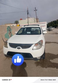 فيرى كروز • ٢٠٠٨ • وارد خليجي