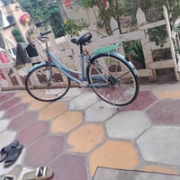 باسك • تاير عطلان • چوب عطلان
