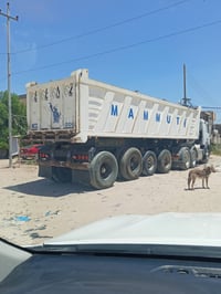ماموت • ٢٠١٧ • كربلاء