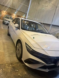 الانتره • ٢٠٢٥ • جلد وكاله