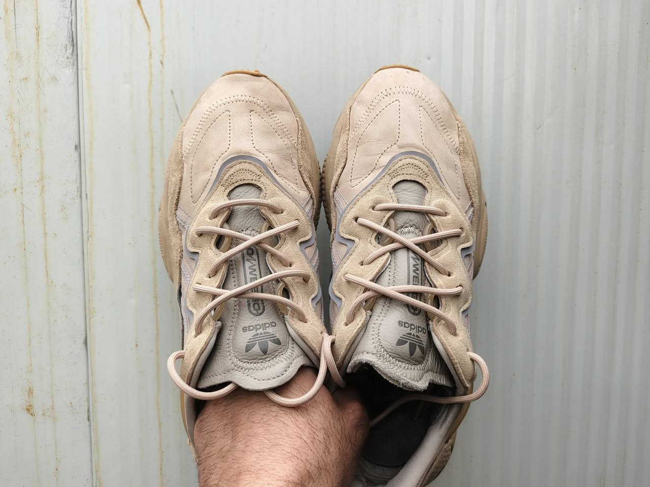 اديداس اوزيكو اصلي
جلد كامل
قياس45
طول 29

للحجز
خاص او واتساب***********
حصرا خاص او واتساب

انستكرام

https://www.instagram.com/yasser_alghazal?igsh=MTB6MnM4ODV1cGgxNg==

وهذا رابط صفحتنا ع فيسبوك

https://www.facebook.com/profile.php?
