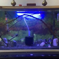 حوض سمك • هيترات ٢ • قاعدة خشب