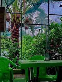 كورنيش ديالى • كوفي شعبي • مطبخ وصالة