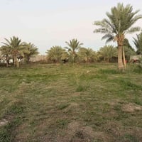 بستنا طريق السنيه • ٢٠٠٠م • كامل الخدمات