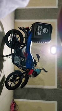 بوكسر ٢٠٢٤ • حلة بابل