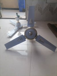 مراوح • حجم وسط • عدد ٢
