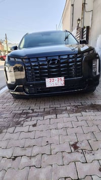 باليسايد لمتد • ٢٠٢٤ • حادث