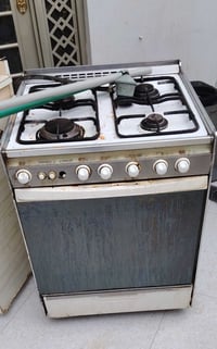 طباخ گريازي • شغال • موجود