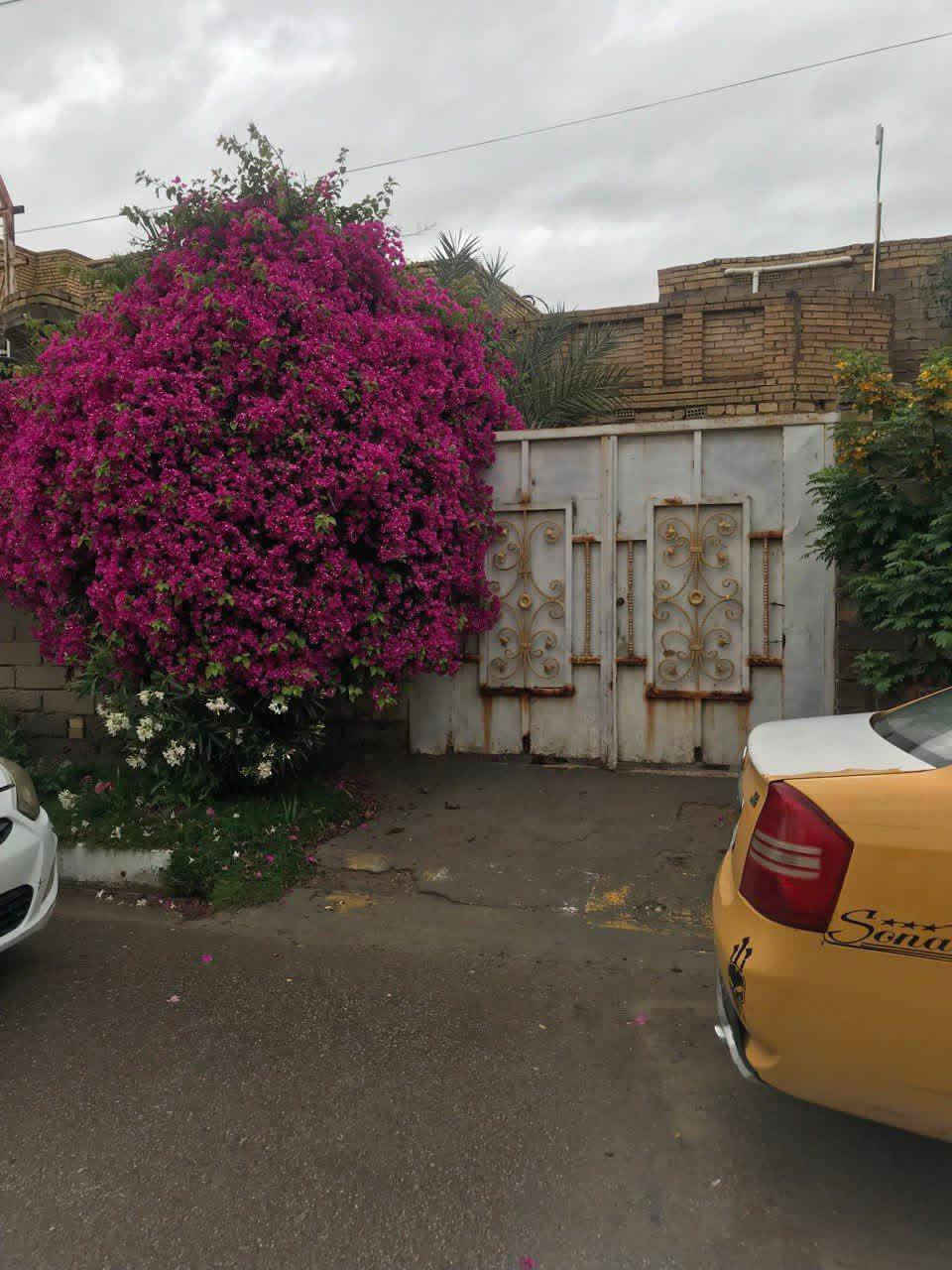 🏡 بيت للبيع
بيت مرتب وجاهز للسكن، موقع ممتاز وخدمات متوفرة وقريب من الأسواق والمدارس.
📐 المساحة: 300 متر
🛣️ شارع عريض ومنطقة هادئة
💰 السعر: مناسب وقابل للتفاوض
📞 للتواصل مراسلة الصفحة أو الاتصال على الرقم: ***********
