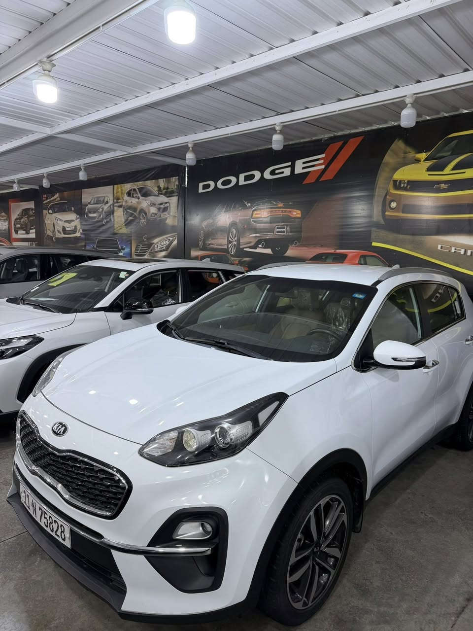 السلام عليكم
كيا سبورتج موديل 2021 ضمان الشركة الدولية خليجي رقم بغداد بأسمي تحويل مباشر سيارة مكفوله من الصبغ و البارد جديدة كلش استخدام شخصي 
مكان السيارة بغداد 
محرك: 2000 دوش 
ماشيه 72 الف كيلو فقط 
مواصفات 
1_شاشه 
2_كامره خلفية 
3_شاشه اعطال 
4_قطعتين تبريد 
5_اشاير بل مري 
6_حساس امامي خلفي وجانبي 
 7_مري شفط 
8_اشاير مري 
9_تحكم وضعيات قيادة 
10_ويل كب بلاد
11_كشافات اماميه 
12_داخل لونين 
13-تحكم استيراً جهتياً 
14- ويل كروم حجم 18 
15- نفكيشن
16- يدات نيكل 
السعر : 203 وبيها مجال بسيط 
للاستفسار: ***********
