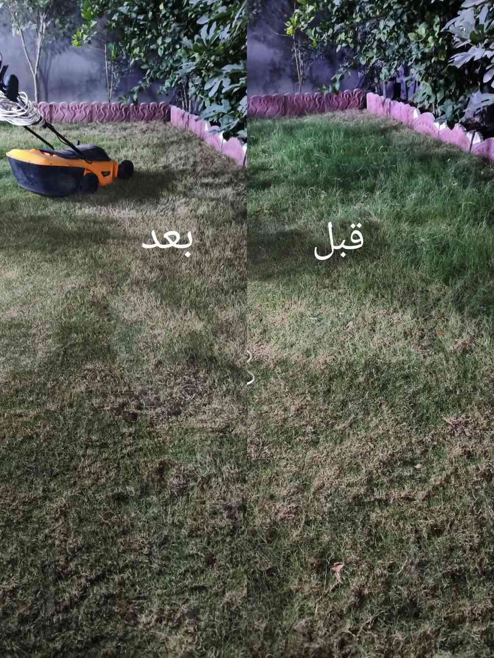 (سلام عليكم ورحمة الله وبركاته)
يوجد مكينه  قص حدائق اجيك ليم  باب البيت الاتصال  
 اسيا (***********)
 زين (***********)   
وسعر حسب حجم الحديقه (وجوامع مجانا) 
       (بإداره ايمن)
         وسلامتكم
