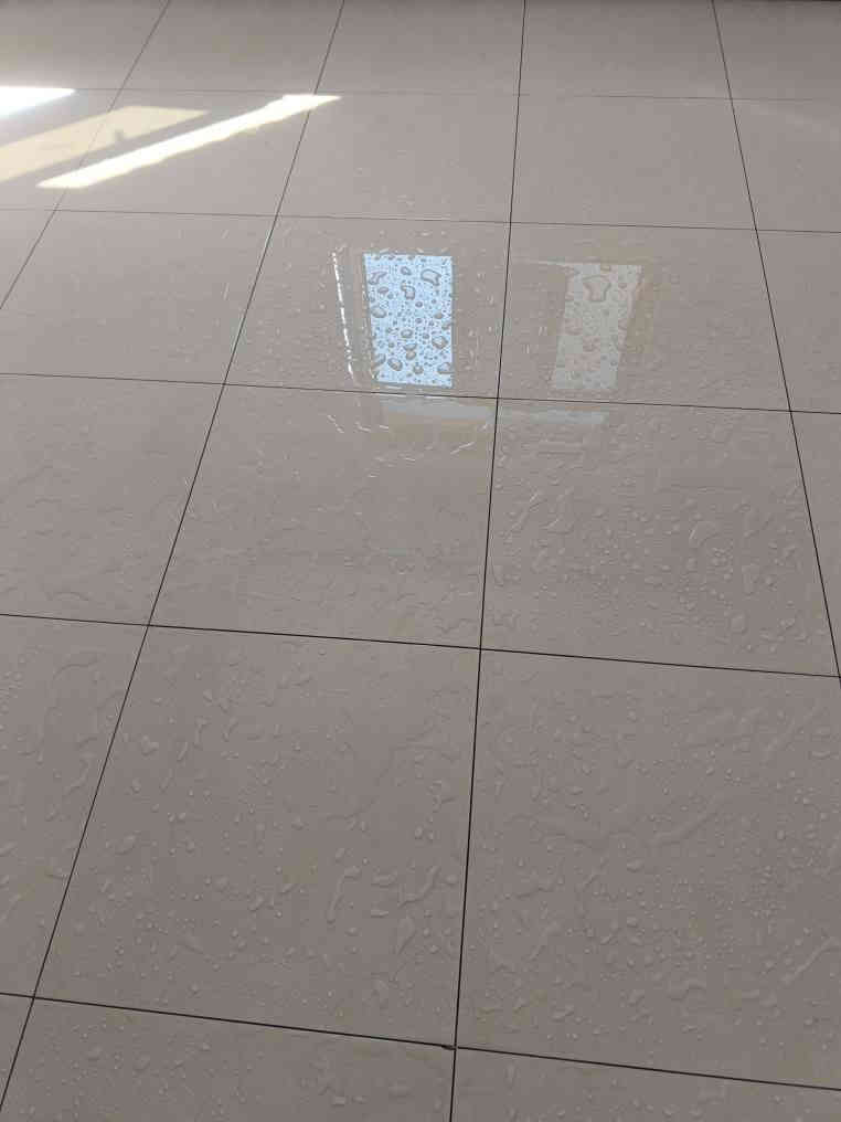 خلفه سيراميك متفرغ للعمل
نعمل سيراميك مرمر كرانيت 
بايات درج حجر قرض بورسلين 
استفسار اكثر اتصل
 *********** واتساب 
‏‪مستعدون لكافه أعمال الترميم كربلاء, العراق
