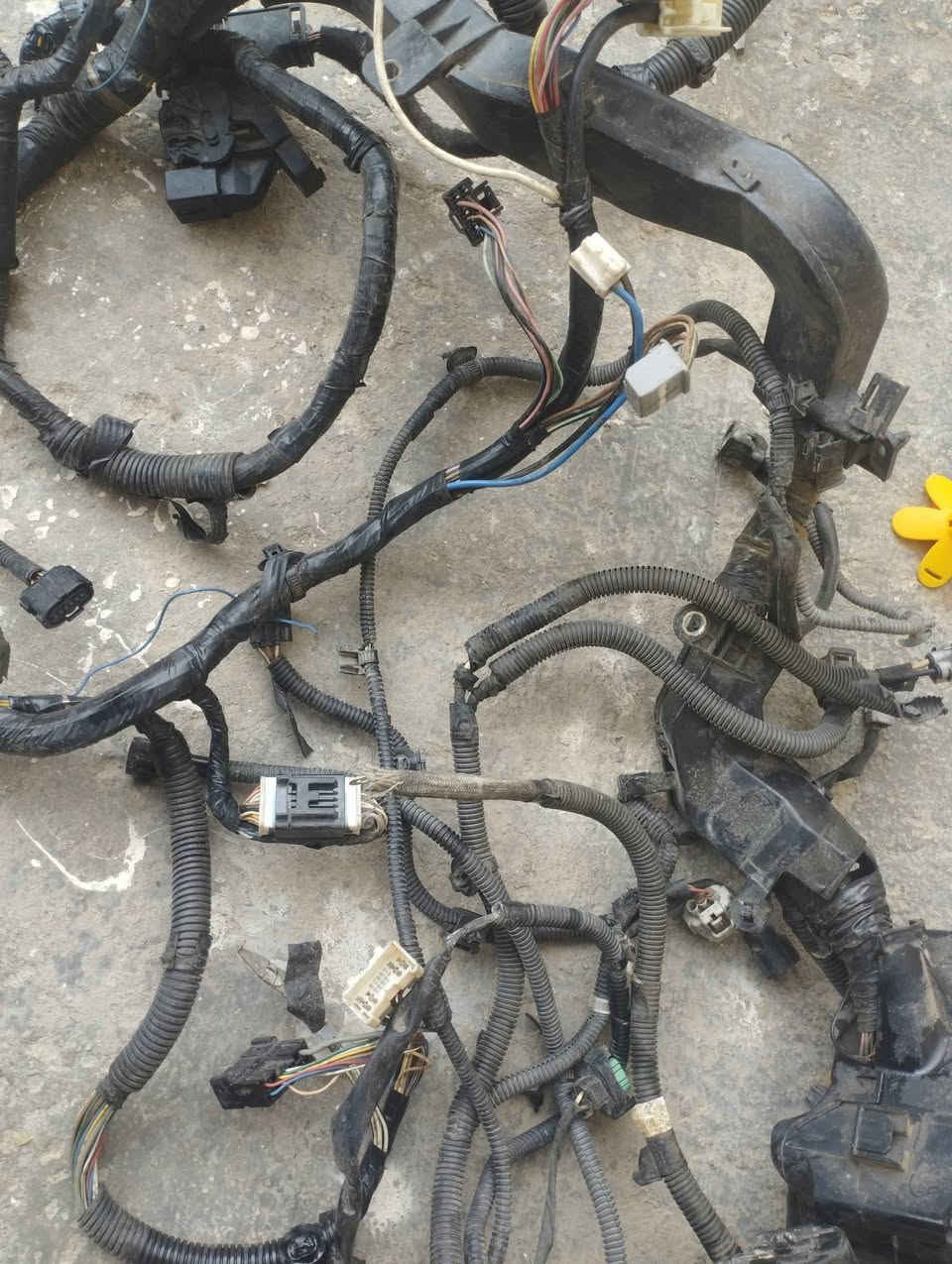 ظفيره كامري وارد من 7 لل11
بي سي ام 
عقل
عبوه كامله 
زوج مري
اصليه  راسلني وبخدمتكم مكاني بغداد


**إذا كنت صاحب هذا الإعلان وتريد حذفه لأي سبب، رجاءا أرسل رسالة إلى الدعم الفني**