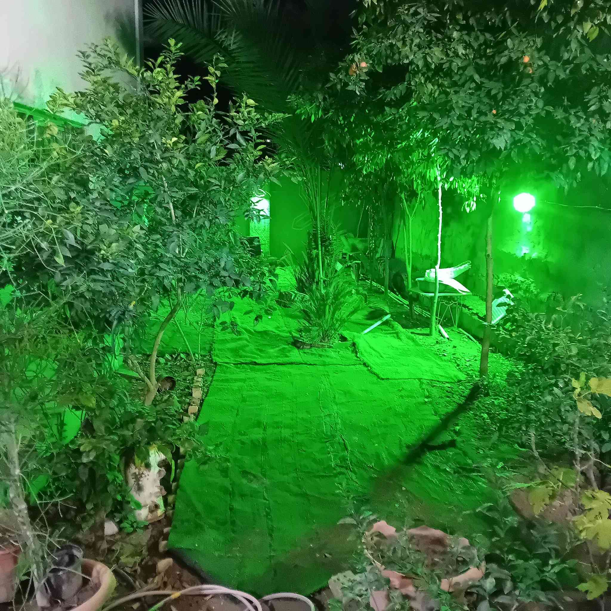 بيت للبيع مساحه ٢٥٠متر ملك صرف زراعي سند ٢٥ ٤غرف نوم وصاله وصحيات فوك وجوه وحولي نفس الطابق الارضي وكراج وحديقه بناء طابوك الارضيه كرانيت العنوان الفحامه السعر عل رقم  *********** بي واتساب
