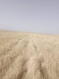 كاع البيع مال حلال سعر مناسب٠٧٨٥٢٤٦٣٩٠٠