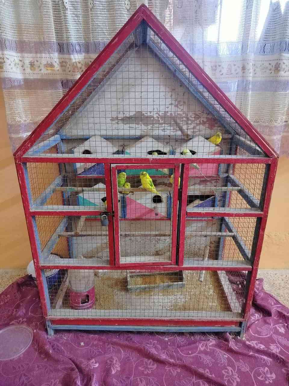 للبيع ثلاجه وضع شركه


**إذا كنت صاحب هذا الإعلان وتريد حذفه لأي سبب، رجاءا أرسل رسالة إلى الدعم الفني**