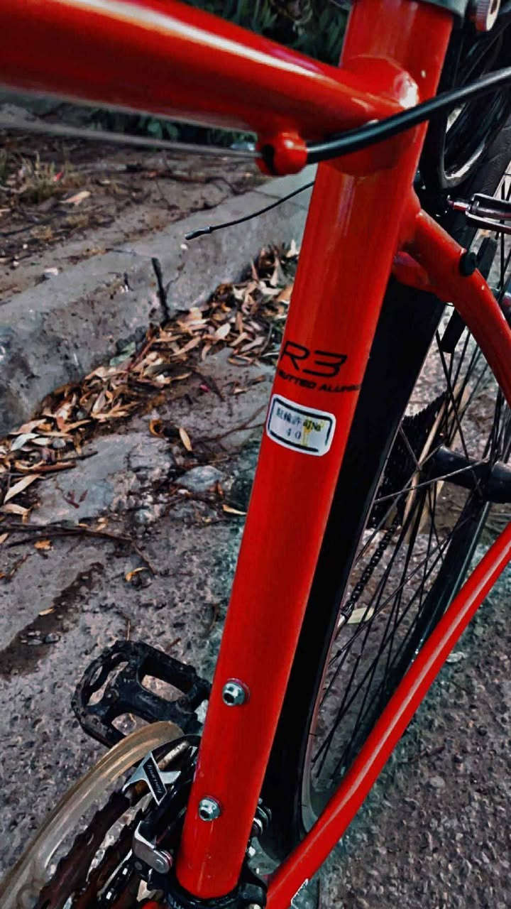 بايسكل للبيع حجم 26 السعر 130 وبي مجال


**إذا كنت صاحب هذا الإعلان وتريد حذفه لأي سبب، رجاءا أرسل رسالة إلى الدعم الفني**