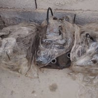 كاورات • ٨ قطع • الكوت