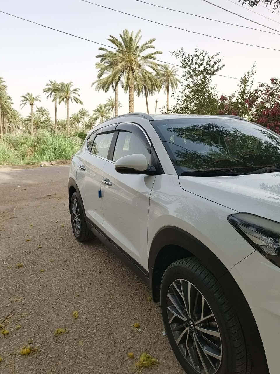 توسان رقم بغداد نكليزي وارد خليجي 2020سيارة فول مواصفات السعر185وبيها مجال مكان سيارة النجف الاشرف المناذرة رقم الهاتف ***********
