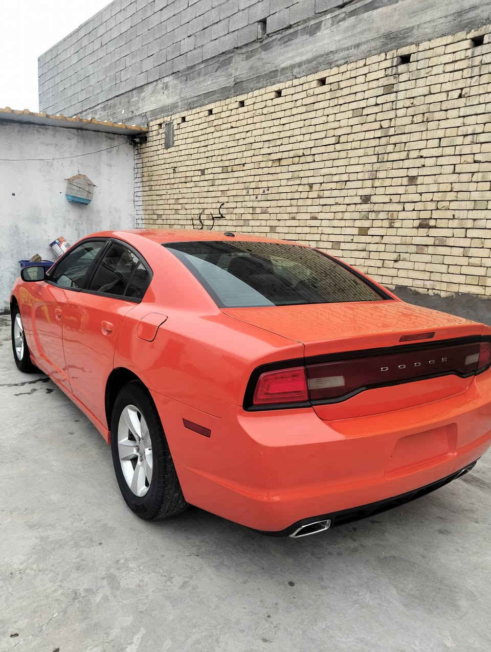 السلاام عليكم من رخصه الادمن جارجر 2012 للبيع اجره بسمي رقم بغداد رقم جديد مصفره هيئه وغرمات  جاهزه حداده كير ماوس جديد مكينه تبريدها  جاهزه من كلشي حادثها بمريكا جاملغ وبنيد وهنا هماات خيسن بيبانها وبدلت قطعها كلها سياره توها معمره  سعر 130


**إذا كنت صاحب هذا الإعلان وتريد حذفه لأي سبب، رجاءا أرسل رسالة إلى الدعم الفني**