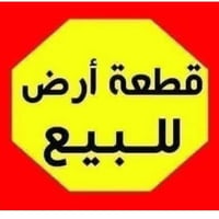 مقابل شرطة السلام • ٥٥٠م • طابو