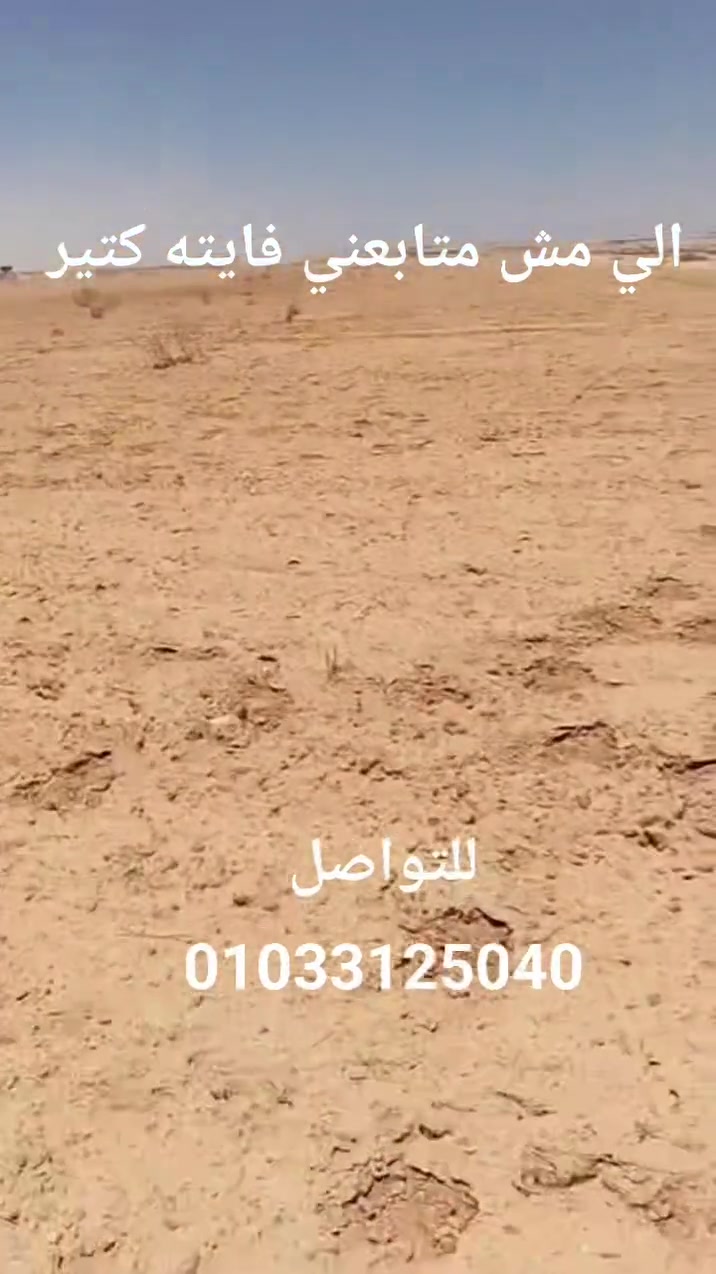 بسم الله الرحمن الرحيم...
#للبيع 50 فدان فاتحين ملف تقنين ري ارتوازي غمر وتنقيط الارض مستويه بلكامل علي الزراعه مباشر والسعر لقطه منطقة بنجر السكر بالاسكندريه  للتواصل 01033125040
#كفرالشيخ_الغربيه_الشرقيه_القاهره_البحيره


**إذا كنت صاحب هذا الإعلان وتريد حذفه لأي سبب، رجاءا أرسل رسالة إلى الدعم الفني**