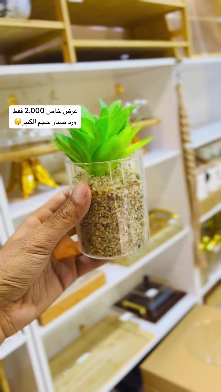 #بعرض_خاص


**إذا كنت صاحب هذا الإعلان وتريد حذفه لأي سبب، رجاءا أرسل رسالة إلى الدعم الفني**