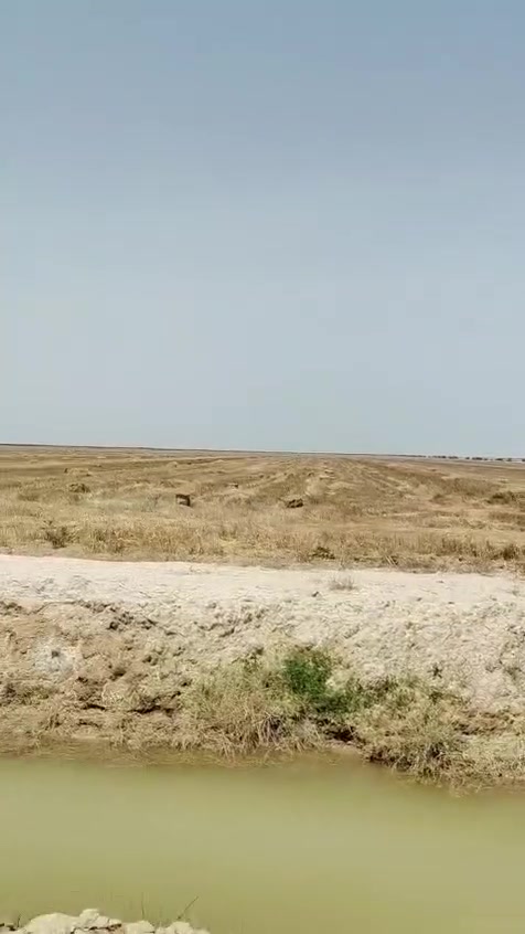 ارض للبيع مساحته 40 دونم في واسط الكوت ع طريق كوت شيخ سعد بيه ماء كهرباء مدارس ابتدائية ومتوسطة الاتصال واتساب *********** ***********
