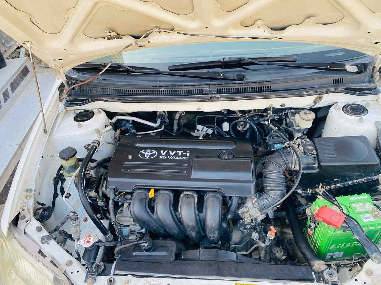 آللهم صل على محمد وآل محمد شلونكم شباب كورولا 2006 ماشية 162 الف مصبوغه حزام رقم جديد سنوية 2030 هزه جديدة بأسمي اني شخصيآ ثاني يوم اداورلك رقم بابل ورقمها كلش حلو  ضربتها من جهه الراكب  مو قوية الجاملغ يعني تبريد مكينة گير كلهن فوول والحمد لله كاميرا شاشة محرك 1800 مكاني حلة مركز المدينه
سعر 87


**إذا كنت صاحب هذا الإعلان وتريد حذفه لأي سبب، رجاءا أرسل رسالة إلى الدعم الفني**