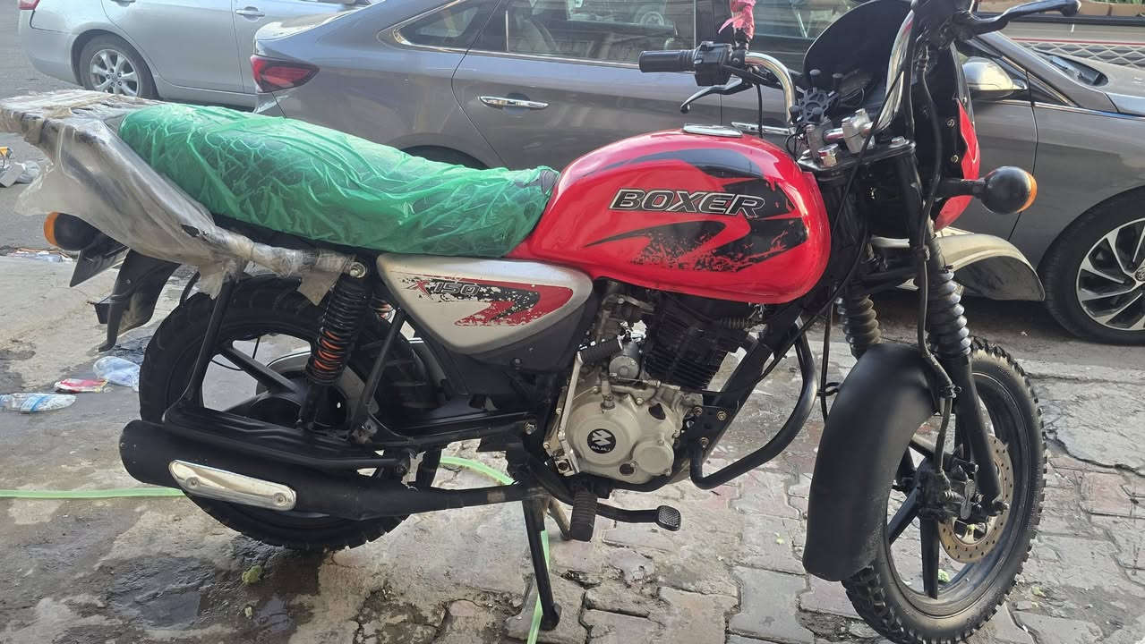 بوكسر ٢٠٢٣ جديده وحلوه ومرتبه جفته تجفيت شركه مرا وحده وتسحكه بيدك دراجه بعده جديد ولله تجي وتشوف بعينك شون مرتبه وشغل حلو مرقم وكامله تحويل ثاني يوم المكان شارع حيفا *********** تجي وتدللل عليه
