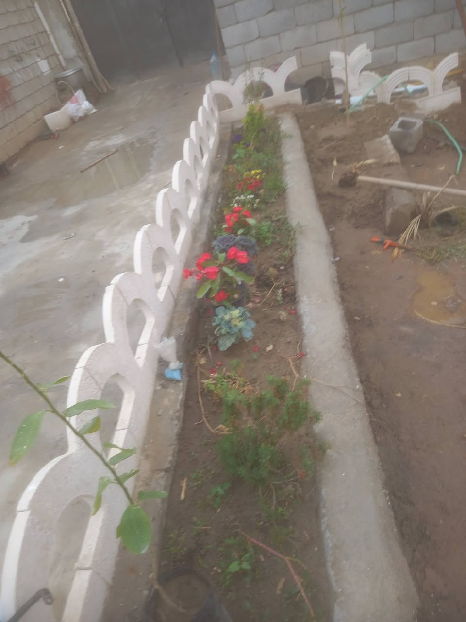 بيت للبيع المساحه 365 متر طابو اسهم شارع السفينه قرب جامعه الصادق كافه الخدمات ماء مجاري تبليط للاستفسار *********** واتساب موجود
