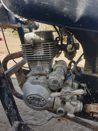 ستوته دايوان • شغالة • الحمزه الديوانيه