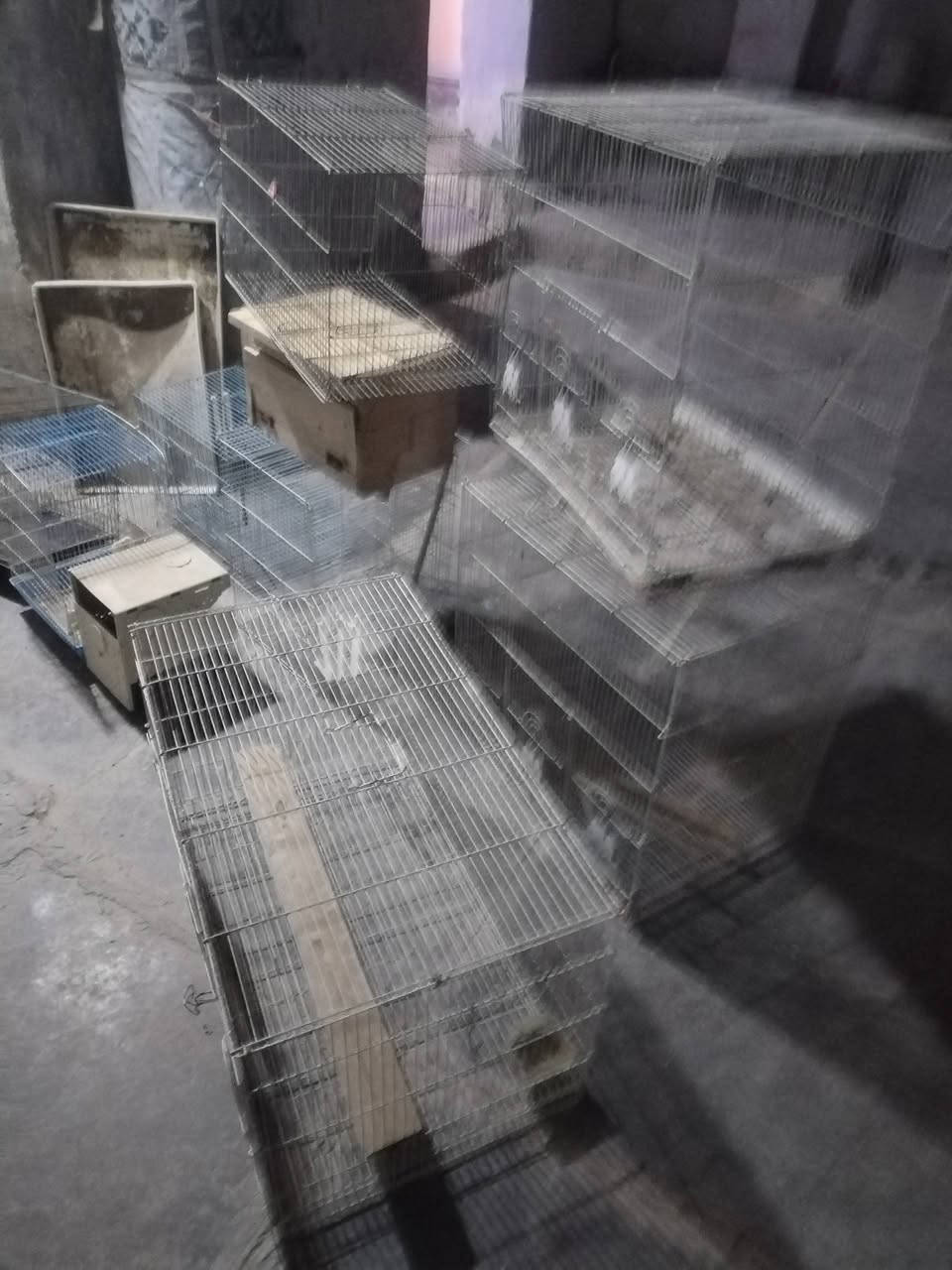 انواع الحجام القفاصه العدد 8 سعر الواحد 10 وذا كلهن بيهن مجال عنوان شطره ***********
