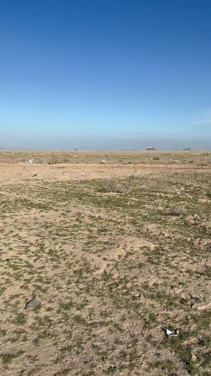 ***********
***********
