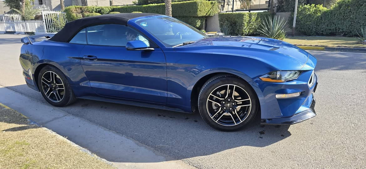 السلام عليكم موستنك للبيع موديل 22كشف
كشنات تبريد تدفئه
مكينه 4سلندر تيربو
تبريد ثلج
ماشيه 48الف ميل
3وضعيات قياده
حادثه موضح بلصور بيه 3قطع صبغ
السياره ربع مناقصه
عليه صالنصه صوط تحكم ريمونت
بجم كبس
السعر 175وبي مجال
***********
