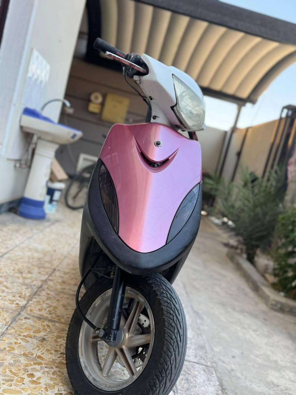 السلام عليكم
دراجة ماكس عدله للبيع كفاله عامه السعر750وبيه مجال✨
مكينة بلادي ما مفتوحه✨
غراضهة كلهة اصليه ✨
يدات بريك رياضي اصليه✨
كهربائيات كلهة شغاله ✨
صالنصه صجميه ⚡
دراجة ما نقصهة شي ✨
لون الدراجة مميز 🩷
الرقم :***********
العنوان: بغداد شهداء البياع 🗺️
