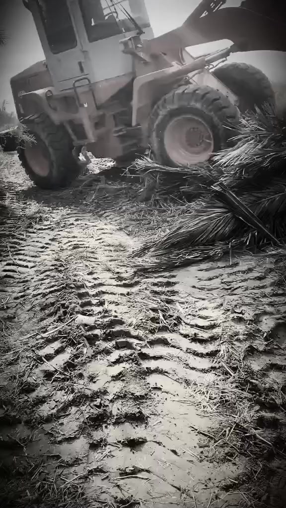 جاهز ال عمل
