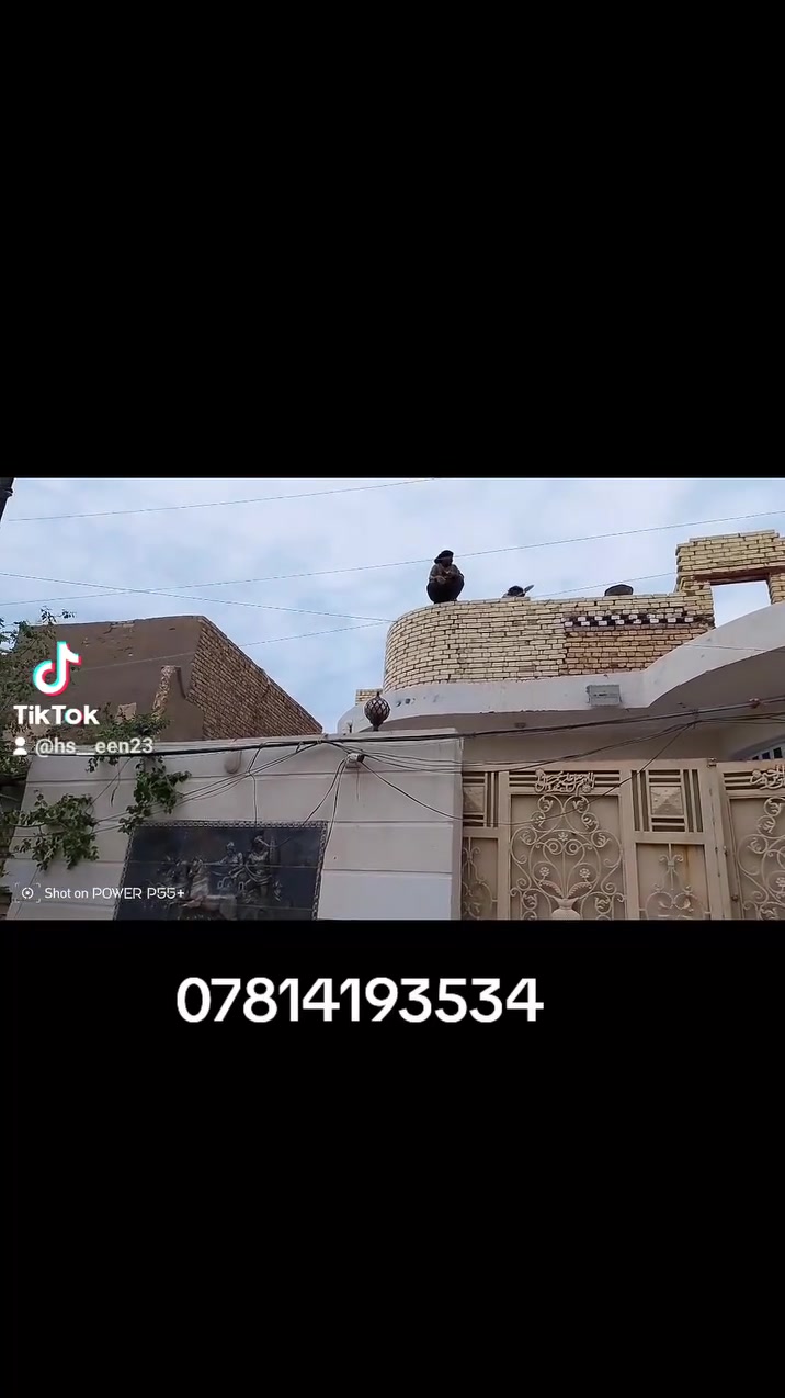خلفه بناء استلام مهندس عملي في كل المحافضات***********
