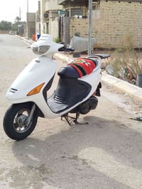 فراشه فحل • نظيفه • مكفوله