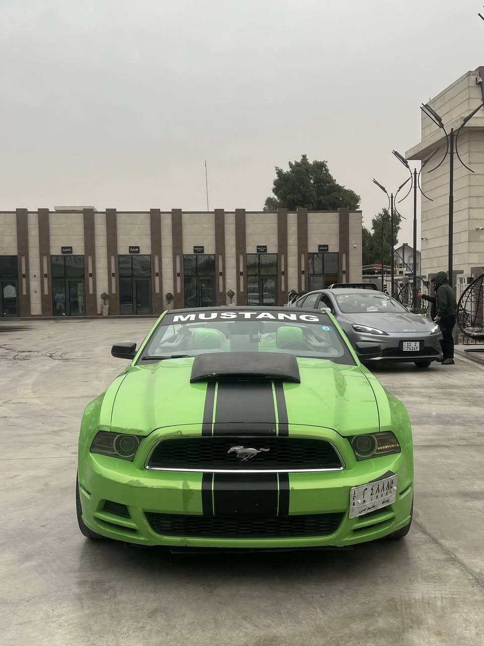 موستنك 2013
لون اخضر 3700/6v

صبغ صفحة السايق

كي  مكينه و شواصي و لغود مكفوله

كشف جديد

وياله ويلد

سعر 97 ورقه بيها مجال لشراي 

استفسار ***********
